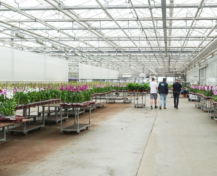 Klantcases met tuinbouwfilters