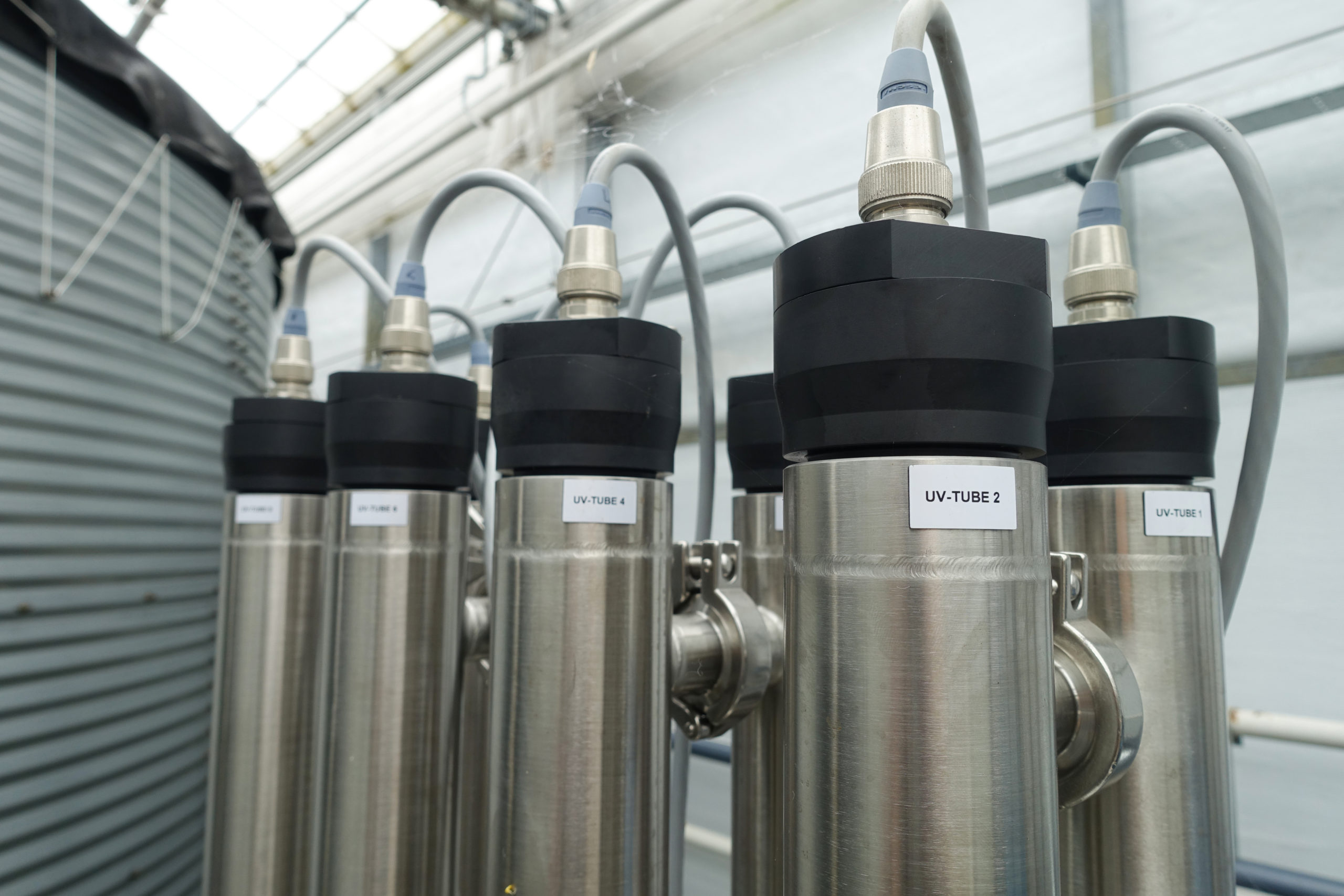 Klantcase Kwekerij Zeurniet 4 | Beta Industrie