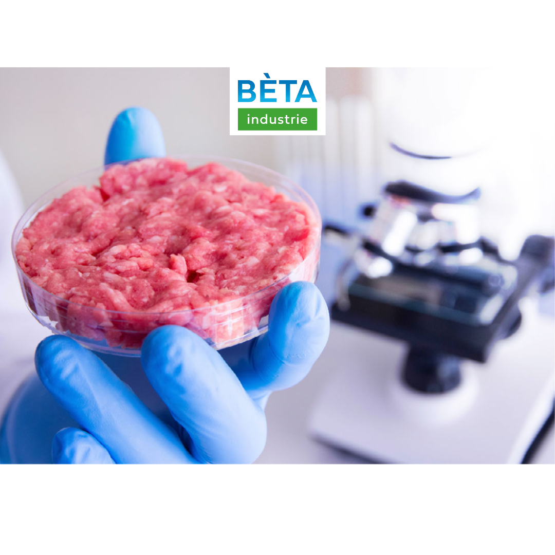 Protein substitutes 1 | BÈTA industrie