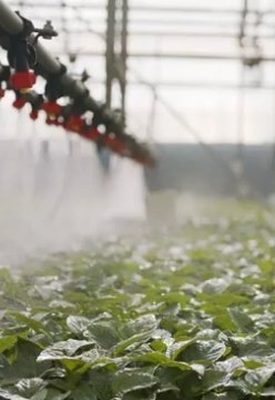 Video markt tuinbouw Tuinbouw | BÈTA industrie