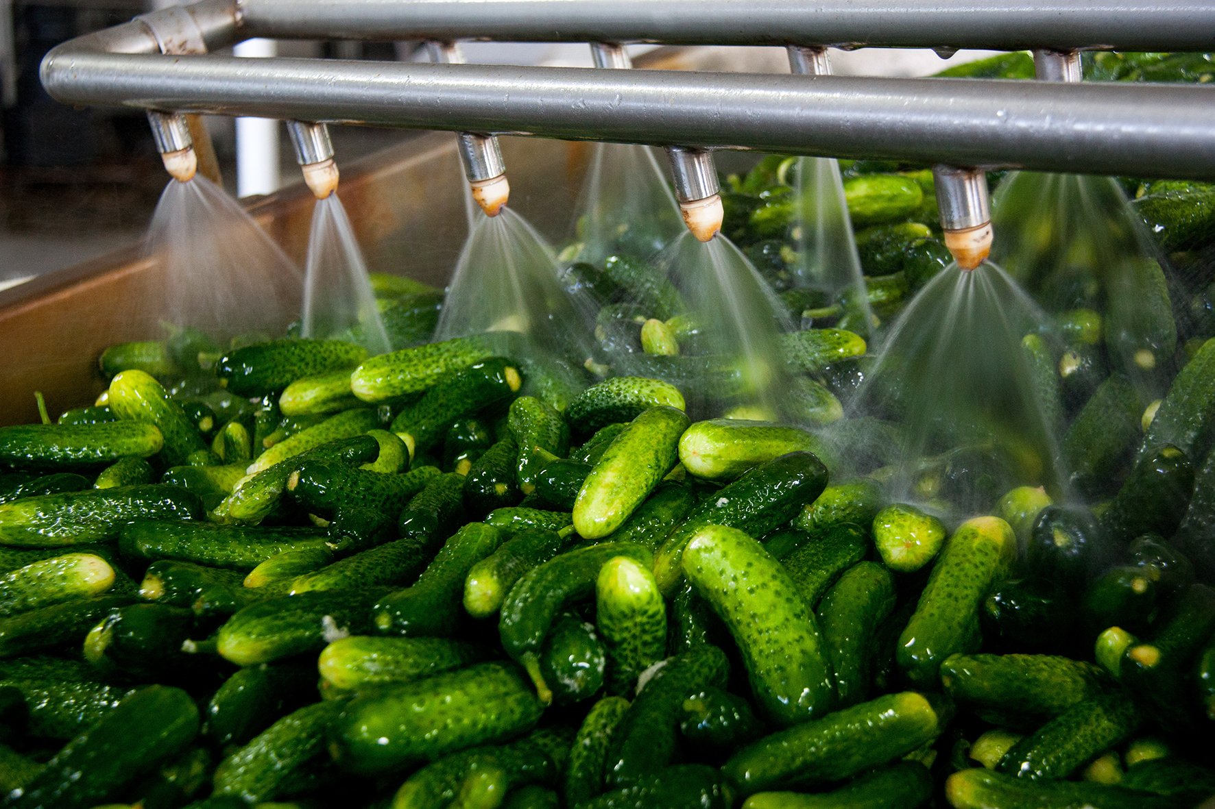 groente-wassen groente-wassen
